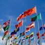 International sales