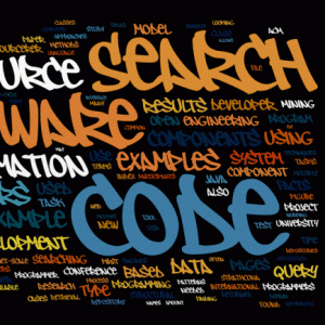 software developer