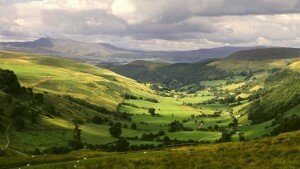 countryside