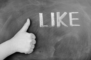 Facebook Like